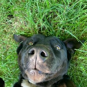 Meet your Posher, Aly